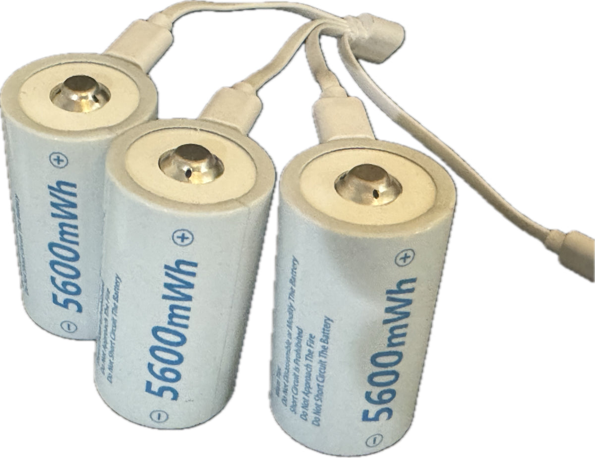 D3  D sized lithium rechargeable batteries